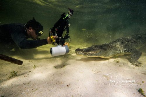 Jonathan Lavan in a diving suit under water taking a photo of an alligator.