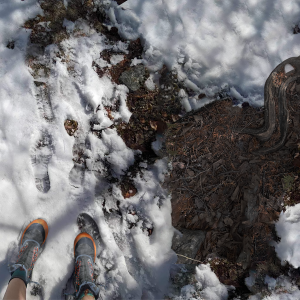 Shoes in Snow