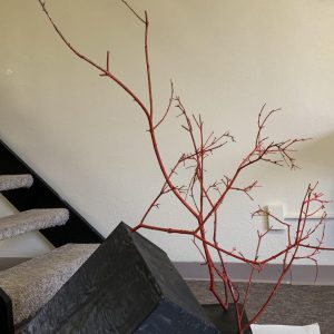 Wendy Wang | Red Branches
